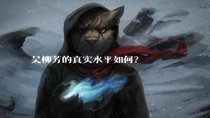 吴柳芳的真实水平如何？