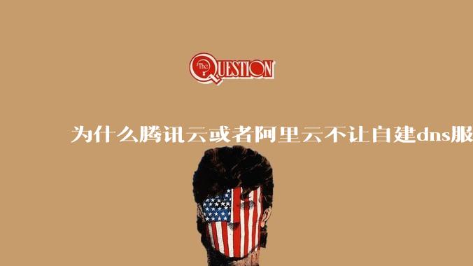为什么腾讯云或者阿里云不让自建dns服务器?