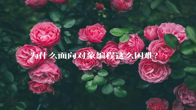 为什么面向对象编程这么困难？