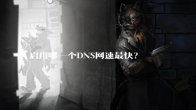 启用哪一个DNS网速最快？