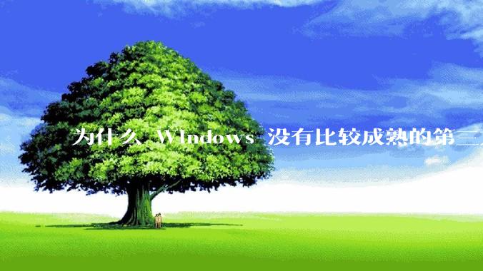 为什么 Windows 没有比较成熟的第三方桌面环境（explorer.exe）？