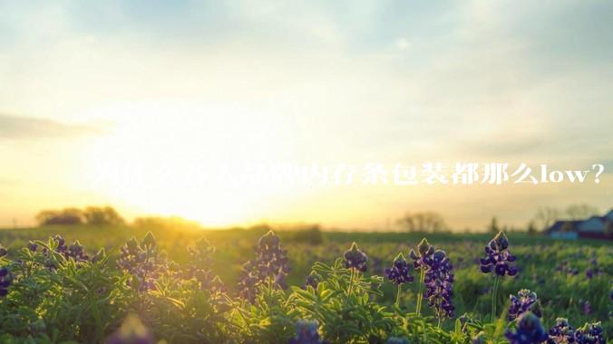 为什么各大品牌内存条包装都那么low？